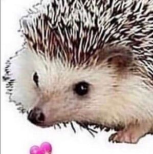 Meet your Posher, Gina